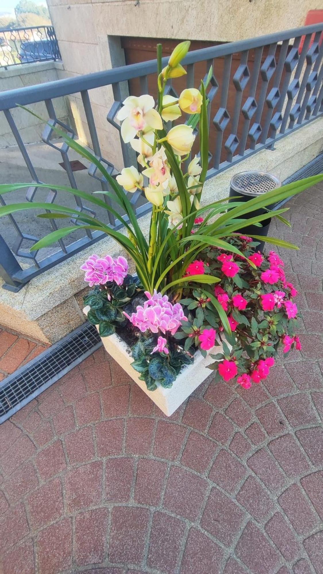 Hotel Apartamento Marouco A Guarda Zewnętrze zdjęcie